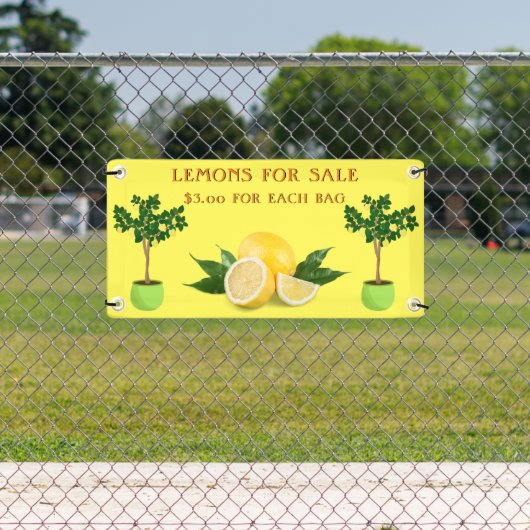 フルーツスタンドを販売するためにレモンをパーソナライズ 横断幕 (インサイチュ)