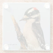 フルーツツリーに飾った可愛いダウンの木ペッカー ガラスコースター (裏面)