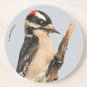 フルーツツリーに飾った可愛いダウンの木ペッカー コースター (正面)