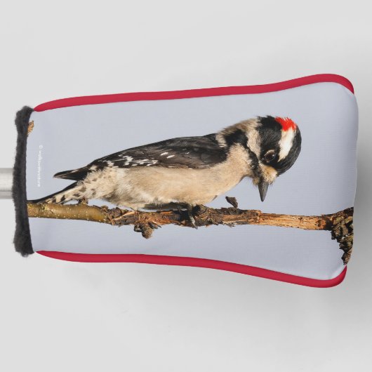 フルーツツリーに飾った可愛いダウンの木ペッカー ゴルフヘッドカバー (正面)