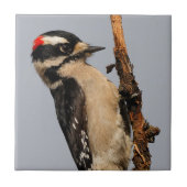 フルーツツリーに飾った可愛いダウンの木ペッカー タイル (正面)