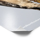 フルーツツリーに飾った可愛いダウンの木ペッカー フォトプリント (角)