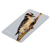 フルーツツリーに飾った可愛いダウンの木ペッカー マグネット (左側)