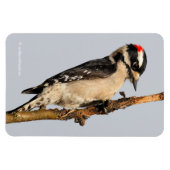 フルーツツリーに飾った可愛いダウンの木ペッカー マグネット (横)