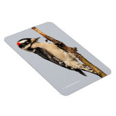 フルーツツリーに飾った可愛いダウンの木ペッカー マグネット (右側)