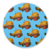 フルーツノブ セラミックノブ (正面)