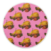 フルーツノブ セラミックノブ (正面)