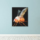 フルーツフライ キャンバスプリント (インサイチュ (ウッドフロア))