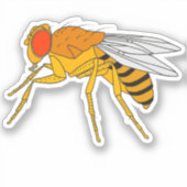 フルーツフライ シール (正面)