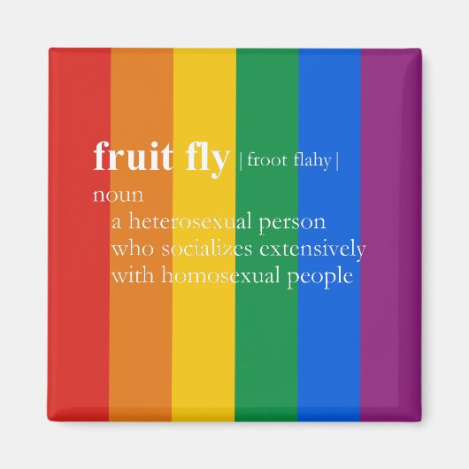 フルーツフライ マグネット (正面)