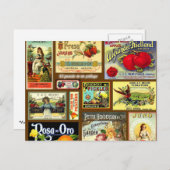 フルーツラベルヴィンテージはがき ポストカード (正面/裏面)