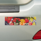 フルーツ及び野菜のメドレー バンパーステッカー (車上)