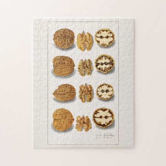 フルーツ水絵画色 ジグソーパズル (縦)