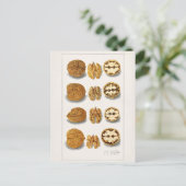 フルーツ水絵画色 ポストカード (スタンド正面)