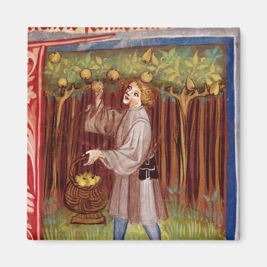 フルーツ狩り マグネット (正面)