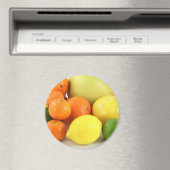 フルーツ・オレンジ・レモン・メロン冷蔵庫磁石 マグネット (インサイチュ (食洗機))