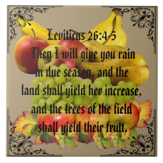 フルーツ タイル (正面)