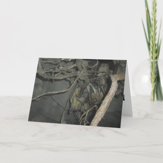 フルーツ・バット 応援カード カード (正面)