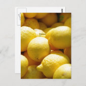 フルーツ：レモン ポストカード (正面/裏面)