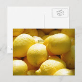 フルーツ：レモン ポストカード (正面/裏面)
