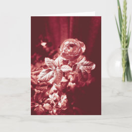 フルーティパルフマバラ-サンキューカード サンキューカード