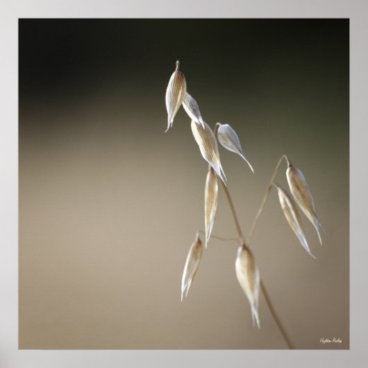 フルーティンワイルドオーツプリント ポスター (正面)