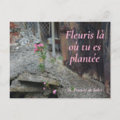 フルーリスラオートゥエプランテピンクフローラ ポストカード (正面)