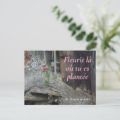 フルーリスラオートゥエプランテピンクフローラ ポストカード (スタンド正面)