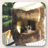 フルーリーツリートラックズベッドに砂糖ぶら下がったグライダー コースター (正面)