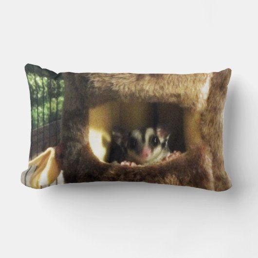 フルーリーツリートラックズベッドに砂糖ぶら下がったグライダー ランバークッション (正面)