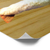 フルーリ・マス ポスター (角)