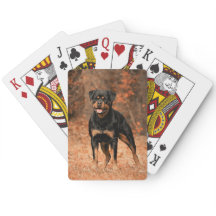 フル写真カスタムデザイン