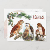 フル図解入りの、写真付きのズ ポストカード (正面/裏面)