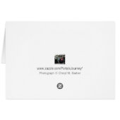 フル開花ピーチピンクローズフォトグリーティング (裏面横)