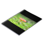 フレイゲンピルツ ノートブック (左側)