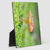 フレイゲンピルツ フォトプラーク (側面)