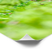 フレイゲンピルツ ポスター (コーナー)