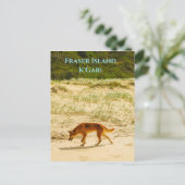 フレイザーアイランド ポストカード (スタンド正面)