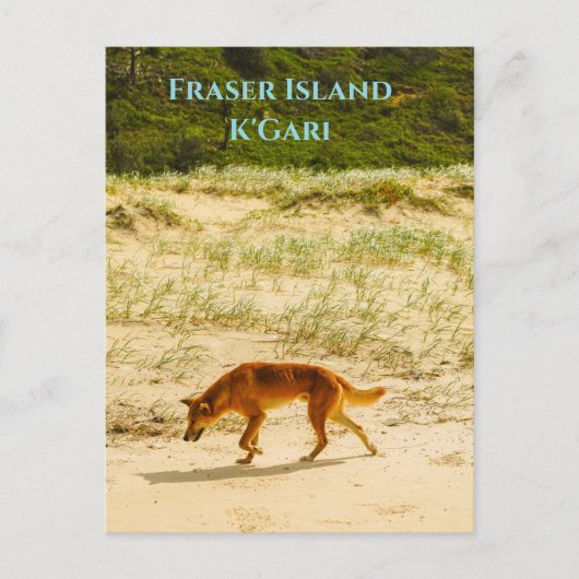 フレイザーアイランド ポストカード (正面)