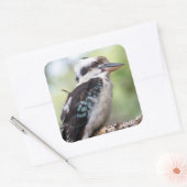 フレイザー島で見られるクーカブラ スクエアシール (封筒)