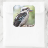 フレイザー島で見られるクーカブラ スクエアシール (バッグ)