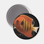 フレイムエンジェル マグネット (正面/裏面)