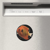 フレイムエンジェル マグネット (インサイチュ (食洗機))