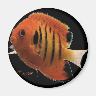 フレイムエンジェル マグネット