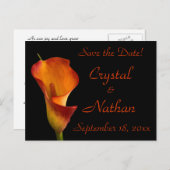 フレイムカラリリー 案内ポストカード (正面/裏面)