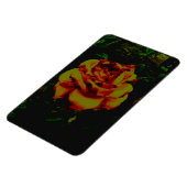 フレキシブルフォトマグネットゴールデンエコ マグネット (左側)