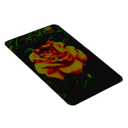 フレキシブルフォトマグネットゴールデンエコ マグネット (右側)