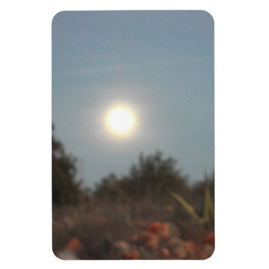 フレキシブルフォトマグネットデザインスタイル マグネット (縦)