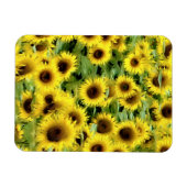 フレキシブルフォトマグネット マグネット (横)