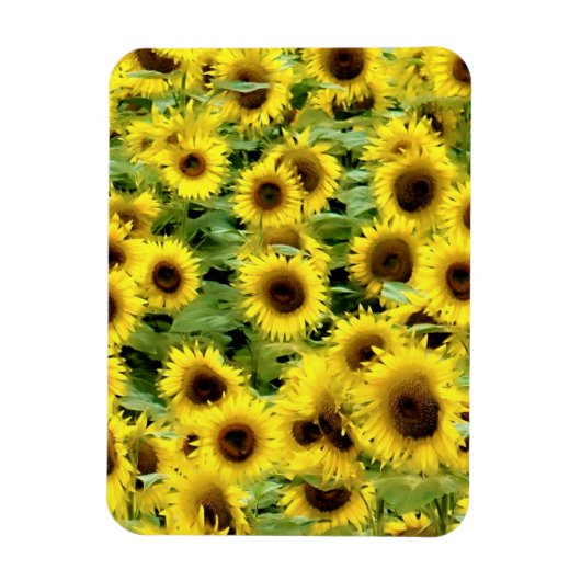 フレキシブルフォトマグネット マグネット (縦)